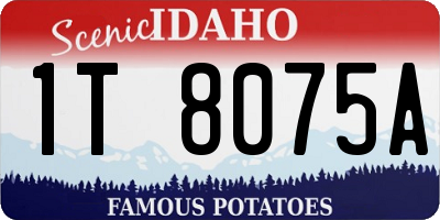 ID license plate 1T8075A