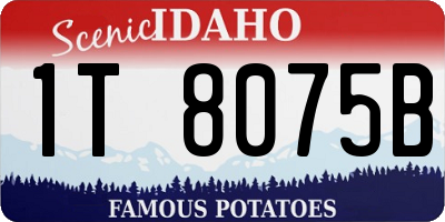 ID license plate 1T8075B