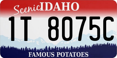 ID license plate 1T8075C