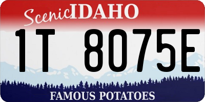 ID license plate 1T8075E