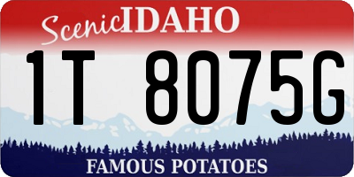ID license plate 1T8075G
