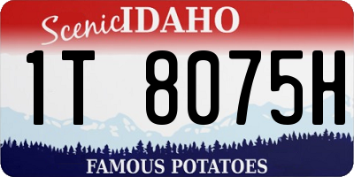 ID license plate 1T8075H