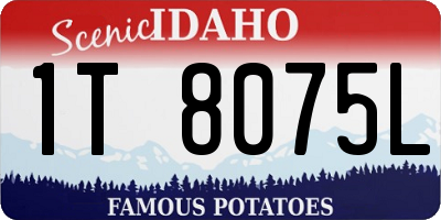 ID license plate 1T8075L