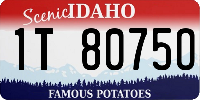ID license plate 1T8075O