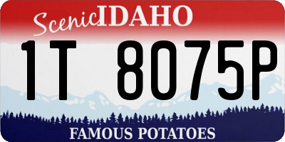 ID license plate 1T8075P