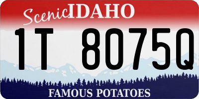 ID license plate 1T8075Q