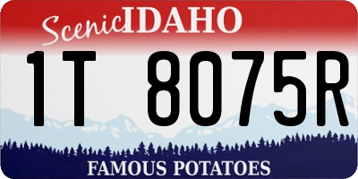 ID license plate 1T8075R