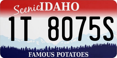 ID license plate 1T8075S