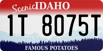 ID license plate 1T8075T