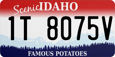 ID license plate 1T8075V