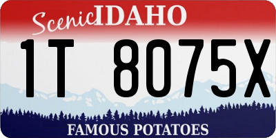 ID license plate 1T8075X