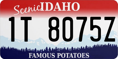 ID license plate 1T8075Z
