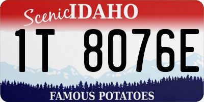 ID license plate 1T8076E