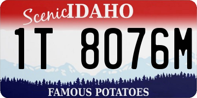 ID license plate 1T8076M