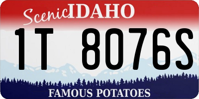 ID license plate 1T8076S