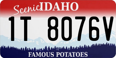 ID license plate 1T8076V
