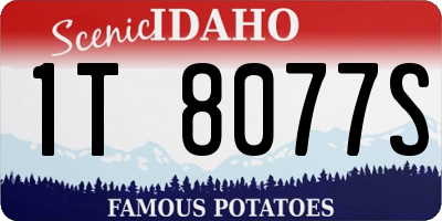 ID license plate 1T8077S