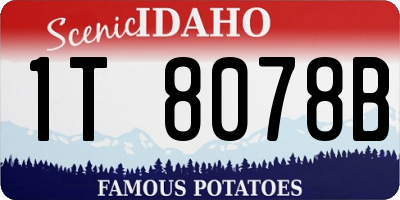ID license plate 1T8078B