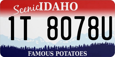 ID license plate 1T8078U