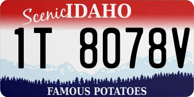 ID license plate 1T8078V