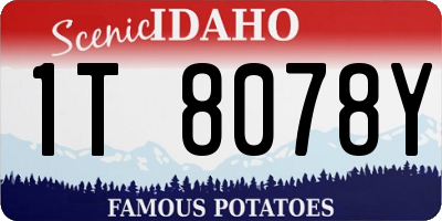 ID license plate 1T8078Y