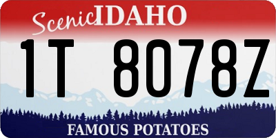ID license plate 1T8078Z