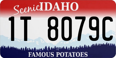 ID license plate 1T8079C