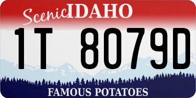 ID license plate 1T8079D