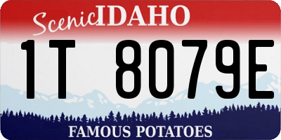 ID license plate 1T8079E
