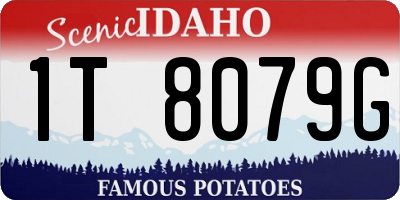 ID license plate 1T8079G