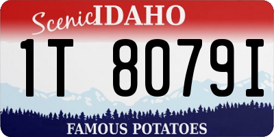 ID license plate 1T8079I