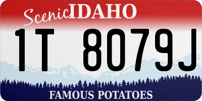 ID license plate 1T8079J