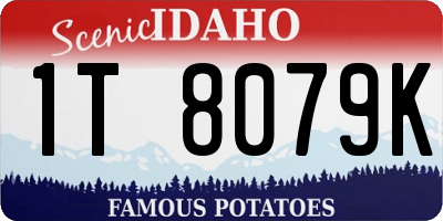 ID license plate 1T8079K