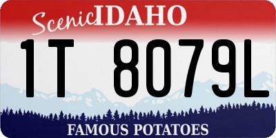 ID license plate 1T8079L