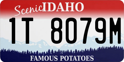 ID license plate 1T8079M