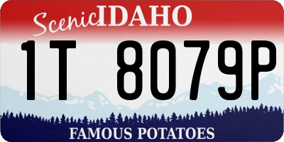 ID license plate 1T8079P