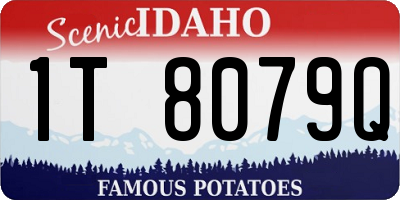 ID license plate 1T8079Q