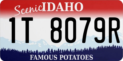 ID license plate 1T8079R