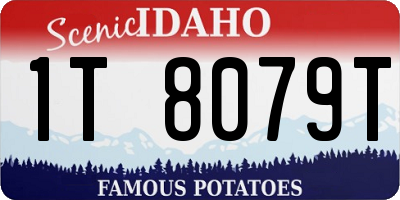 ID license plate 1T8079T