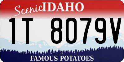 ID license plate 1T8079V