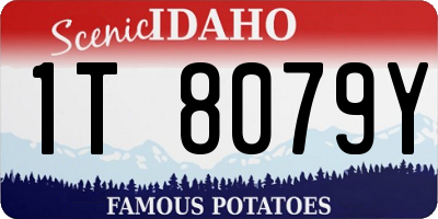 ID license plate 1T8079Y