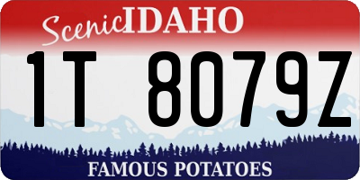 ID license plate 1T8079Z