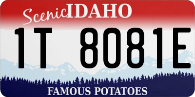 ID license plate 1T8081E