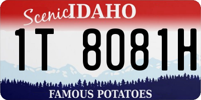 ID license plate 1T8081H