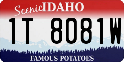 ID license plate 1T8081W