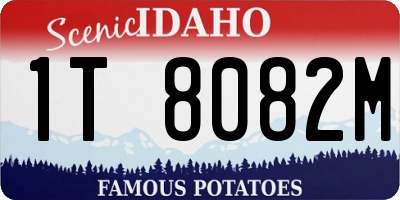 ID license plate 1T8082M