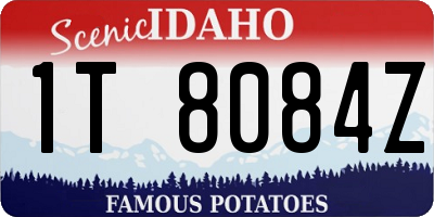 ID license plate 1T8084Z