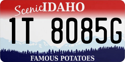 ID license plate 1T8085G