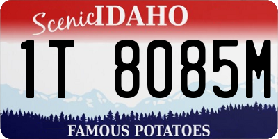 ID license plate 1T8085M
