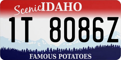 ID license plate 1T8086Z